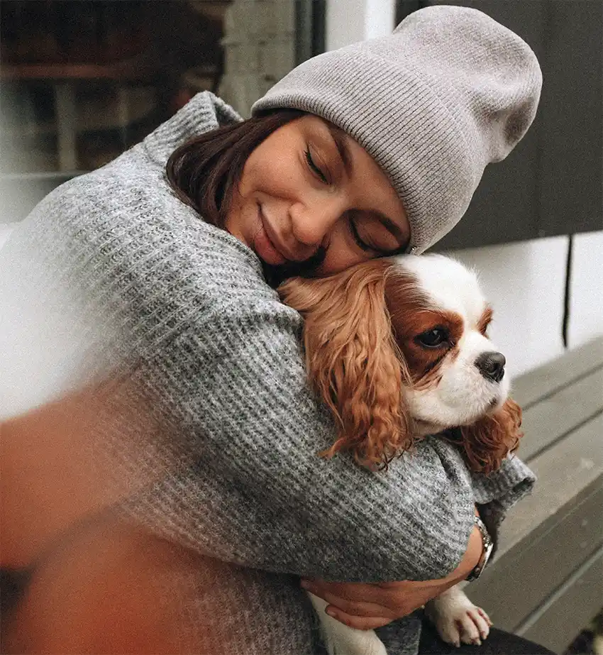 Cavalier King Charles Spaniel Hugs