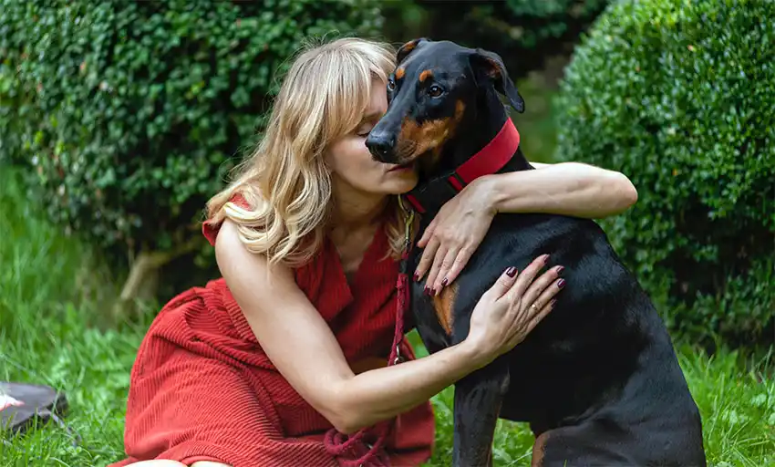 Doberman Temperament