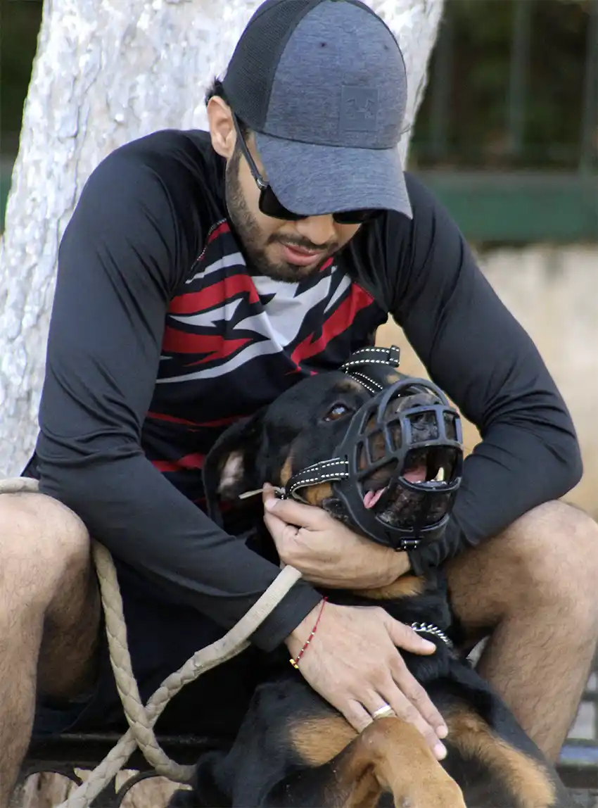 Rottweiler overprotective